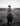 Black and white erotic fine art photograph of a topless cowgirl wearing a cowboy hat, revealing denim shorts, and leather boots, riding a horse through an open countryside landscape at sunset. Photographed from behind, highlighting her bare back and buttocks. The Naked Cowgirl, a Caferotica character.